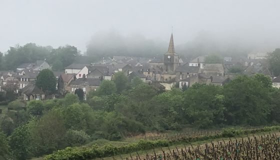 Pernand-Vergelesses, summer 2021