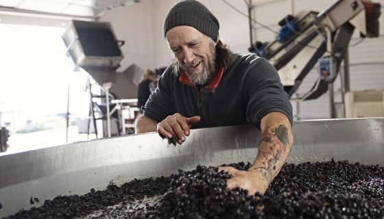 WWC21 Brooks P - Chris Williams the Brooks winemaker by Carolyn_Wells_Kramer