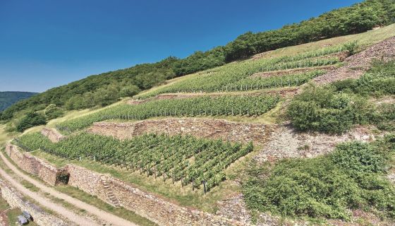 WWC21 Lewis R – Berg Kaisersteinfels Drohne