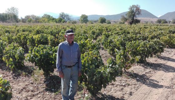 WWC21 Mylonas V - Mr Toutousani