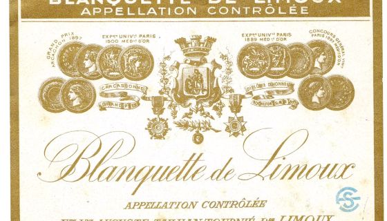 WWC21 Panman C - BlanquetteGrownHereWinningGoldMedals1889