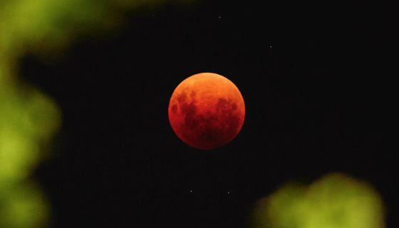 Red moon Cullen 2018