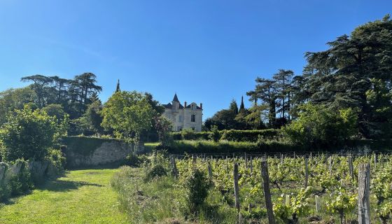 WWC21 Rothery M - Clos des Capucins