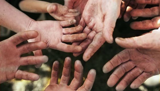 German winemaking hands at Dengler-Seyler, Pfalz