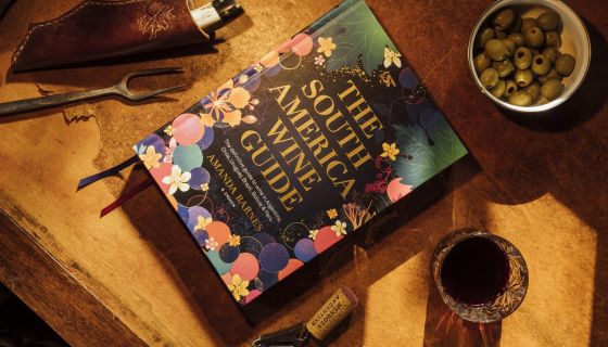 The South America Wine Guide, photo by Greg Funnell