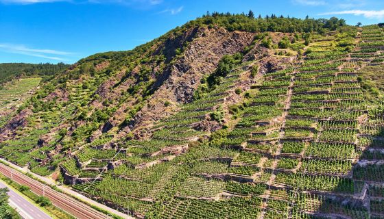 Uhlen Blaufüsser Lay vineyard in Winningen photo credit VDP
