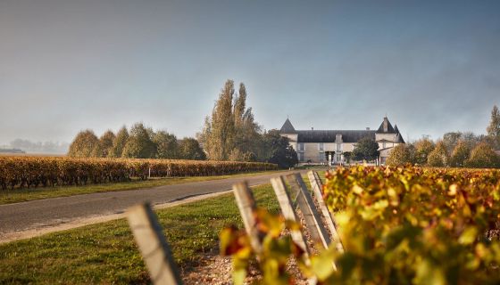 Ch Suduiraut in autumn