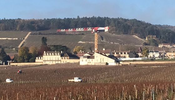 Crane over Domaine des Lambrays 2021