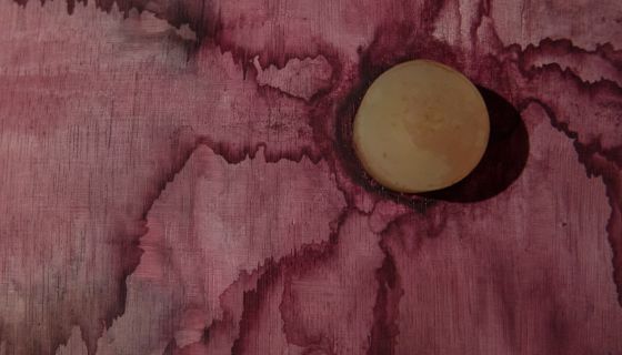 Bung in red wine barrel at Domaine Thenard in Burgundy