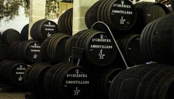 Bodegas Tradicion Amontillado solera