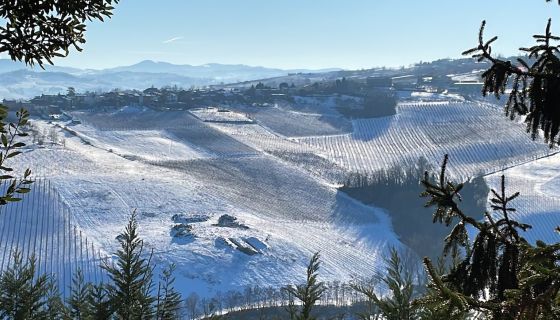 Buttafuoco December 2021