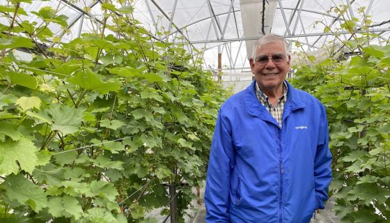 Mike Mosesian of Bell's Nursery