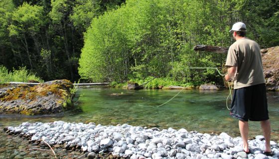 Fly fishing at Steamboat