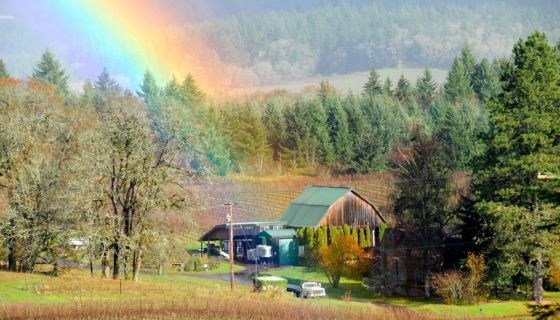 Rainbow over Brick House