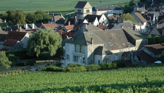 Dom Marquis d'Angerville