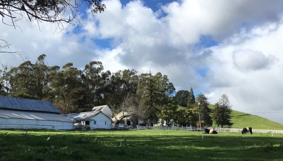 Stewart Ranch, Napa Valley