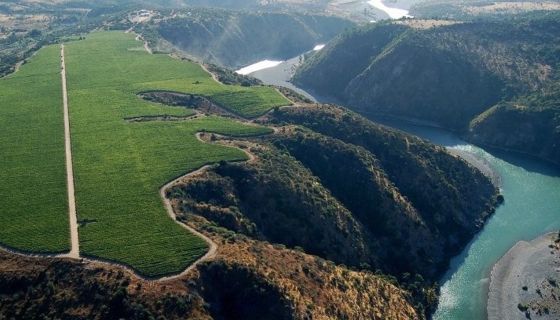 Ucuquer vineyard in Colchagua, Chile