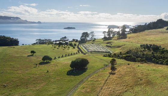 Boulder Bay sea view