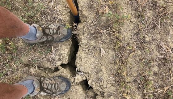 Drought effects on N Italian soil