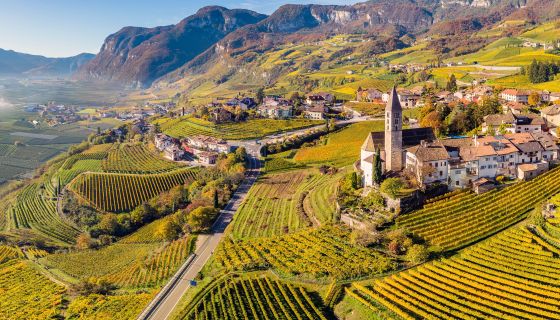 Cantina Kurtatsch vineyards at Freienfeld