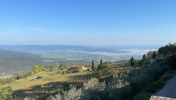 Tiezzi's Vigna Soccorso seen from Montalcino