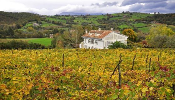WWC22 Caserta alepa-winery-with-caiatine-hills-in-the-background