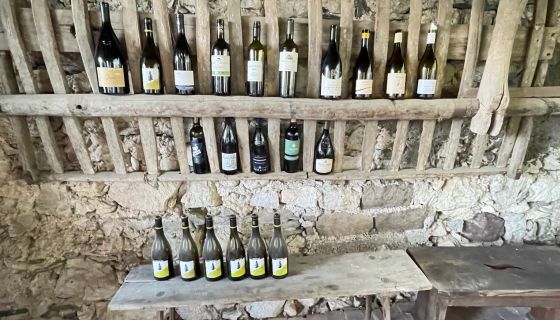 Sauvignons at the Round Table discussion