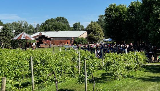 Prairie Moon Winery, Ames IA