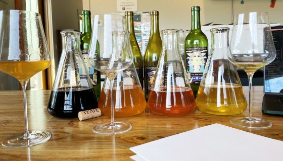 Extradimensional Wine Co Yeah! wines in flasks on tasting bench