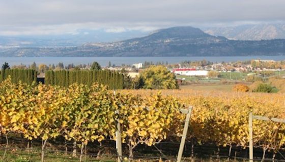 Tantalus Vineyards on my first visit September 2015