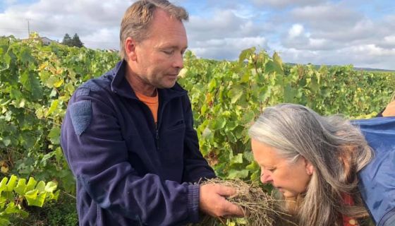 in-champagne-vincent-charlot-shares-his-soil-with-sue-hill