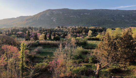 A spectacular view of the valley with the village of Scripero nestled in the foothills of Mount Pantokrator