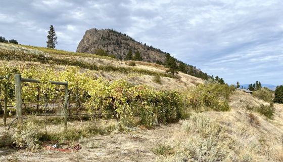 Lichtning Rock Winery