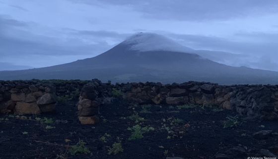 mount pico