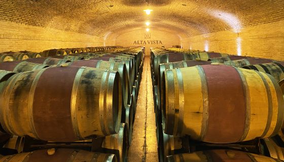 Alta Vista barrel room