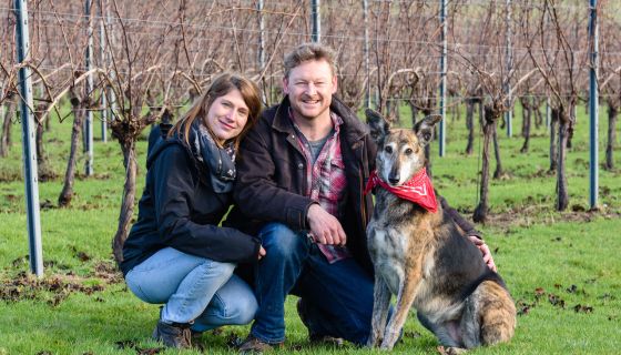 Sugrue South Downs - Dermot and Ana