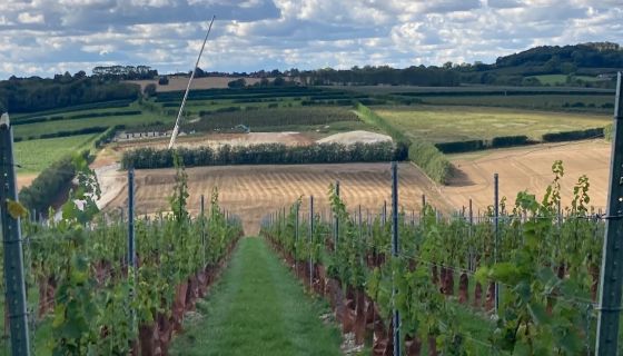 Dom Evremond in Kent