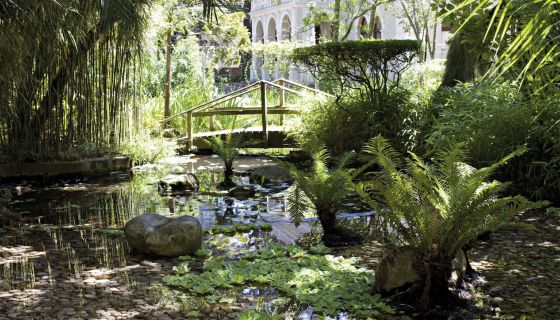 Cape Town Botanical Garden