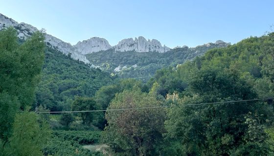 Dentelles de Montmirail viewed from Gigondas vineyards