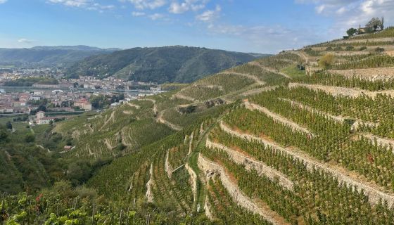 hill of Hermitage looking away from the river