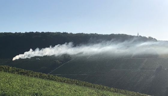 Morning sun over the Montée de Tonnerre from Les Clos grand cru