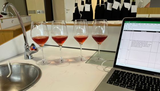 Tavel 2021 rosés tasted blind