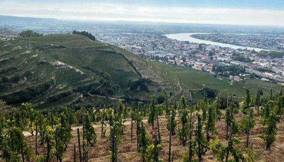 view from hill of Hermitage autumn 2022
