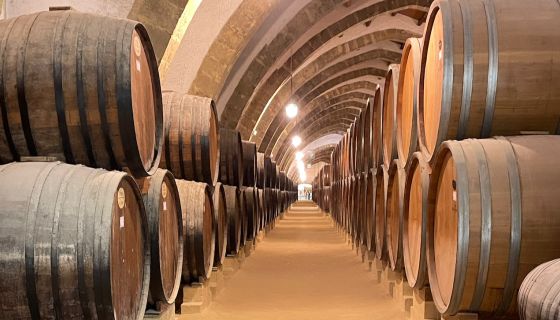Florio barrel cellar Marsala