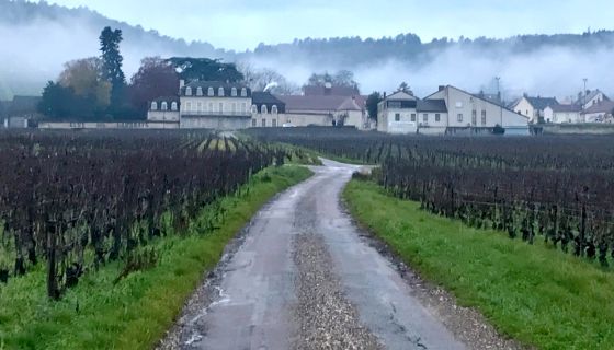 Misty Morey-St-Denis