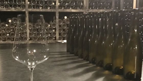 2021 tasting line-up at Dom Roulout in Meursault