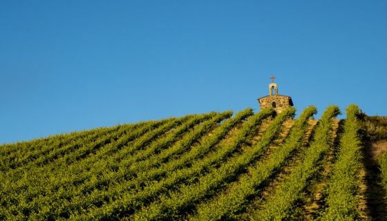 Getty images washington vineyard