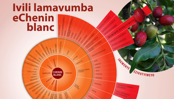 A Chenin Blanc wheel in isiXhosa