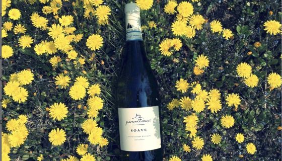 Bottle of Giannitessari Soave within dandelions