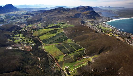 Hemel-en-Aarde valley seen from above